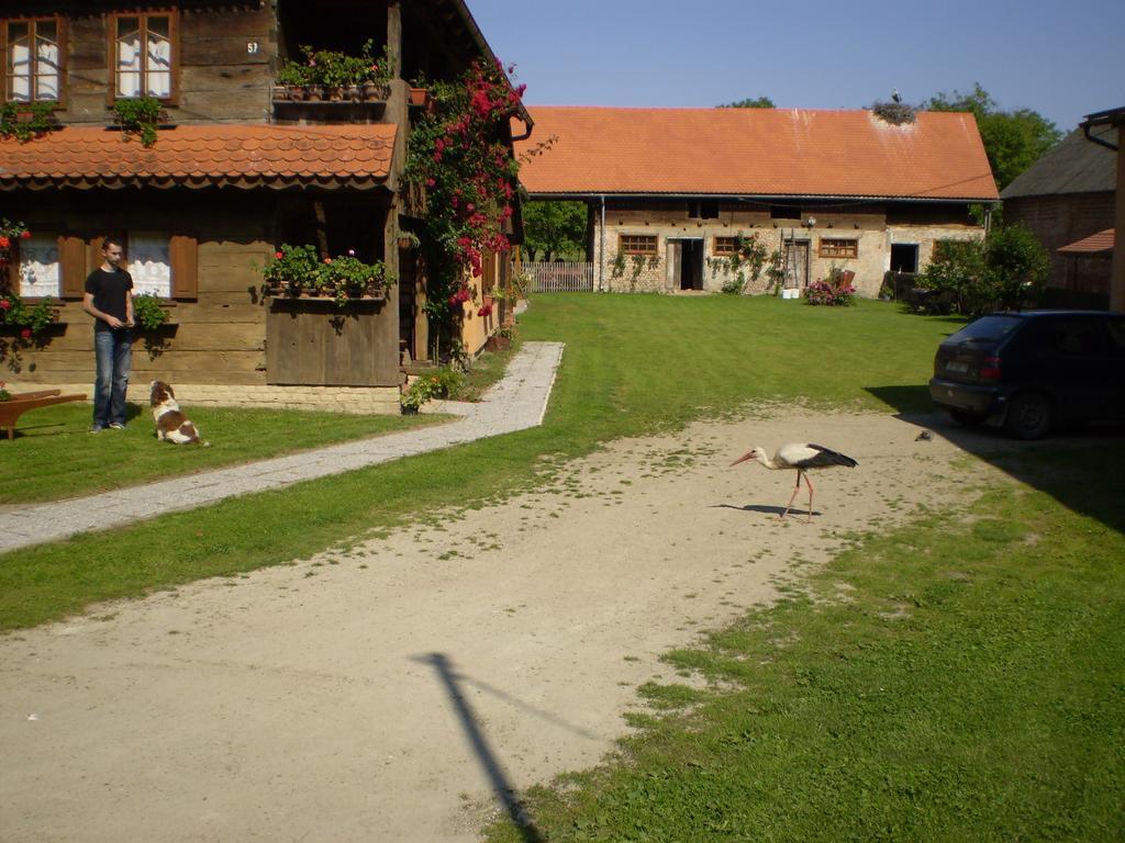 Apartments Iza Na Trem Čigoč Exterior foto